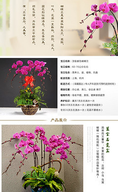 ○ 不變的眷戀。〃的個人主頁_90設計90sheji.com